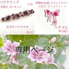 専用ページ