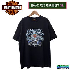08M158◯ 00s Harley-Davidson ロンT バイカー Y2K 08M158◯ 00s Harley-Davidson ロンT バイカー Y2K - メルカリ