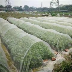 防虫ネット 園芸 1.5×50m 大型 虫除けネット 虫よけネット 畑 菜園用防虫ネット ネット プランター 家庭菜園 ベランダ 害虫 害虫対策 防虫網 保護 トンネル