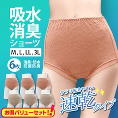 2枚組×3セット 6枚 2色組 失禁ショーツ レディース セット  レース 無地　母の日　プレゼント