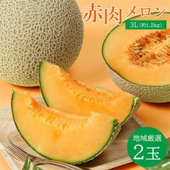 【順次ご発送】送料無料 赤肉メロン 2玉 3L 約 1.2 kg 赤肉 地域厳選 メロン マスクメロン レノン ルピアレッド クインシーメロン 夕張メロン ギフト ご自宅用 果物 くだもの フルーツ 訳あり