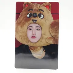 Stray Kids ハン MAXIDENT skzoo  JYPshop 特典 きぐるみ 未開封 トレカ フォト カード HAN ハンジソン ハニ 3RACHA ストレイキッズ スキズ SKZ