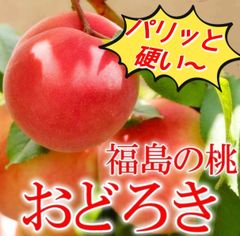 福島県産　おどろくほど硬い桃　おどろき　桃　カリカリ　バリ固い　柿？りんご？大根？　びっくりするほどカタイ硬い桃ちゃん　硬い食感が堪らん〜　モモ　もも　本物の硬い品種　是非一度食べてほしい
