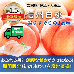 信州の大玉桃〜選りすぐりの１品種〜【内容量】約1.5kg【配送方法】常温配送【サイズ】L以上【品目】桃（もも）【品種】当店お任せ【産地】長野県【規格】ご家庭用A品【詰め方】フルーツキャップ詰め【配送までの日数】1～4日
