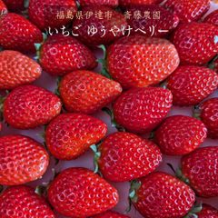 いちご 【斎藤農園】ゆうやけベリー (15～20粒 300g)×2P 福島県伊達市 《5/1～5/10より出荷》