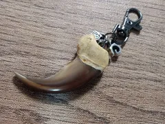 2025年最新】ヒグマ 爪の人気アイテム - メルカリ