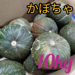 信州産 坊ちゃんかぼちゃ ゆうパケットプラスお箱 - 野菜