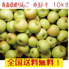 青森県産　りんご　トキ　ご家庭用　小玉　9~10ｋｇ　全国送料無料