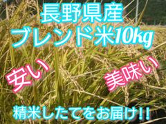 【白米】【白米】長野県産ブレンド米10K　長野県産米100%使用
