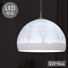 匠の誠品 LEDペンダントライト ケーブル長：30cm/1m ケーブル色：ブラック/ホワイト 間接照明 ギフト 引掛けシーリング 天井照明