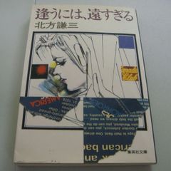 『逢うには、遠すぎる』北方謙三