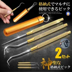 2セット 格納式 ピック セット ステンレス 爪楊枝 ケース 3種類 つまようじ 携帯 キーホルダー GOLDSET ネコポス