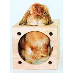 Item thumbnail for item 8104ec5d-e29e-4eea-ab9c-fca773382139