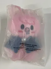 skzoo ぬいぐるみ　クッション　チャンビン straykids チャンビン skzoo ぬいぐるみ - メルカリ