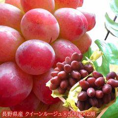 赤いシャインマスカット レッドシャインの異名を持つ 長野県産 ぶどう ブドウ 葡萄 長野県 [クイーンルージュⓇ2房]