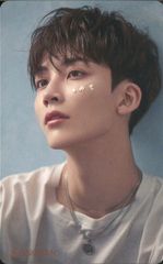 SEVENTEEN 舞い落ちる花びら JEONGHAN トレーディングカード Blue