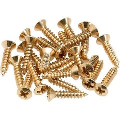 Fender Pickguard/Control Plate Mounting Screws (24) (Gold) ピックガードスクリュー【フェンダー】
