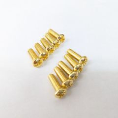 (+)トラスねじ M4 ゴールドメッキ 金メッキ 10個セット TRS-0002