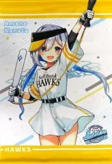 2025年最新】天音かなた タペストリーの人気アイテム - メルカリ