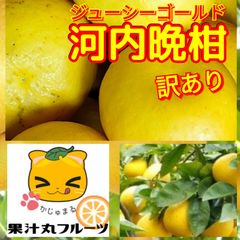 河内晩柑　訳あり　10キロ　サイズ不揃い　(宇和ゴールド、ジューシーオレンジ、夏文旦、美生柑、その他は呼び名の多い品種です)　北海道、沖縄地方発送不可です。