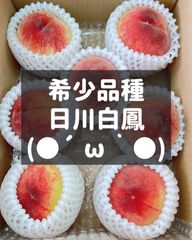 日川白鳳　甘い青秀品　もも　ピーチ
