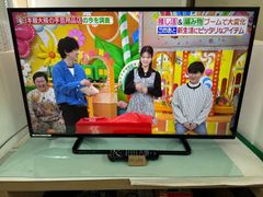 M095　パナソニック　Panasonic　VIERA　43型　LED　液晶テレビ　NETFLIX　YouTube　hulu　Amazon prime視聴可能　2019年製　TH-43ES500HT