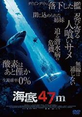 【中古】 月照らす、君を想ふ The Moon Brightens for You（18巻セット）第1話～第36話 最終【字幕】 [レンタル落ち] [DVD] 中古】 月照らす、君を想ふ The Moon Brightens for You（18巻
