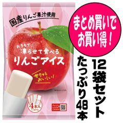 シャーベット アイス おやつ おうちで凍らせて食べるアイス りんご 12袋（48本入）セット お取り寄せグルメ ポイント消化