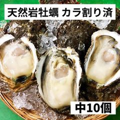 天然岩牡蠣 中10個 2～2.5ｋ（200～250g×10個） カラ割り 殻付き 日本海産  生食  岩ガキ お中元 ギフト 贈答 バーベキュー