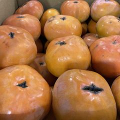 豊橋名産　　訳あり　キズ　次郎柿　約2.5ｋｇ～3ｋｇ