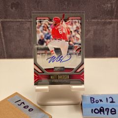 Panini Calcio Cards パルマ 中田英寿 - メルカリ