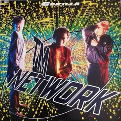2025年最新】tm network gorillaの人気アイテム - メルカリ