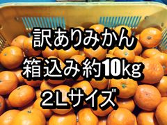 訳ありみかん　箱込み約10kg　２Ｌサイズ