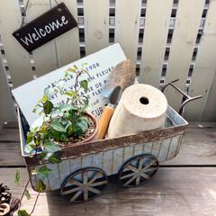 ブリキカート 四輪車型 フラワーポット 多肉植物 小物入れ ガーデニング雑貨 収納ボックス