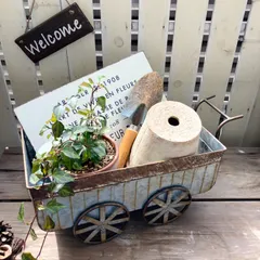 ブリキカート 四輪車型 フラワーポット 多肉植物 小物入れ ガーデニング雑貨 収納ボックス