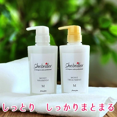 シーブリエ モイスト シャンプー モイスト トリートメント 380ｍｌ ボトル セット shebriller 5015543-m-m