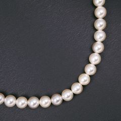 真珠 7.0～7.2ｍｍ パール×シルバー レディース ネックレス