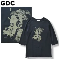 00s GDC ジーディーシー グランドキャニオン プリント 7分袖 ラグラン Tシャツ ネイビー メンズのサムネイル