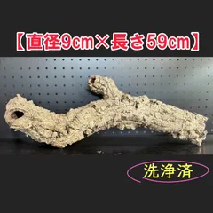 250616　 ポルトガル産 キャノンコルク コルク樹皮 　バージンコルク 250802 ポルトガル産 キャノンコルク コルク樹皮 コルク板