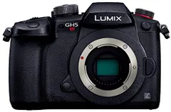 LUMIX GH5 標準ズームレンズセットV-Log拡張済【中古品】 81aecxUpBwL._AC_UL210_SR210,