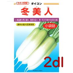 カネコ種苗　冬美人大根　２ｄｌ