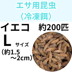 【冷凍餌】 冷凍イエコオロギ　Lサイズ　約200匹入り　　爬虫類　両生類　エサ　餌　魚類　哺乳類　レオパードゲッコー　フトアゴヒゲトカゲ　カエル　蛙　トカゲ　ヤモリ　イモリ