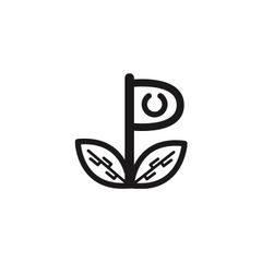 Bucephalandra pubes 