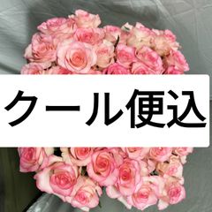バラジュミリアAB級品４５センチ40本切り花生花