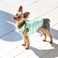 犬と生活　パイルタンク