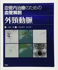 血管内治療のための血管解剖 外頸動脈