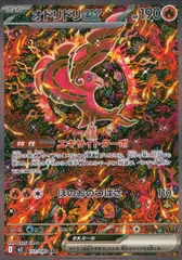 111/080/M2/B/SAR オドリドリex