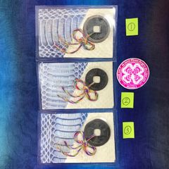 弁天様で6回お清めの古銭 寛永通宝 大帯 白蛇 お守り 古銭 財布 純金 帯