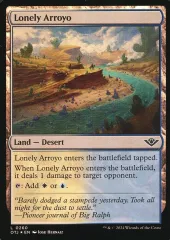 【中古】マジックザギャザリング 0260[L]：【OTJ】【FOIL】Lonely Arroyo/孤立した小峡谷