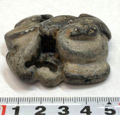 イルカの耳骨【大きさ2.7㎝ ③】 - メルカリ